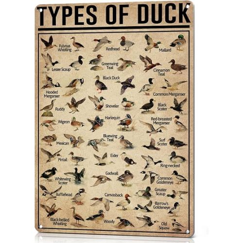 HYBLOM Duck Hunting Gifts for Men, Types of Duck Metal Sign Vintage 12x8 IN