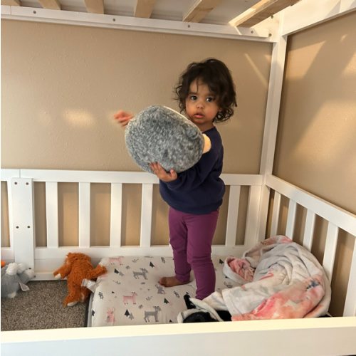 MATTRESSES!! Cash Fund