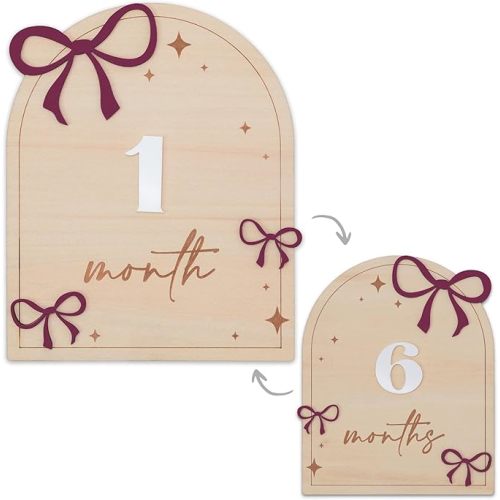 Daisy 3D Baby Monthly Milestone, Wooden Baby Milestone Signs, Monthly Milestone Wood Discs, Baby Milestone Discs (3D Flower)