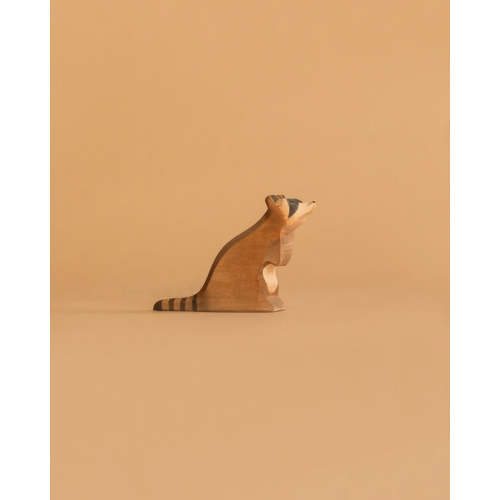 Ostheimer Raccoon - Sitting– Odin Parker