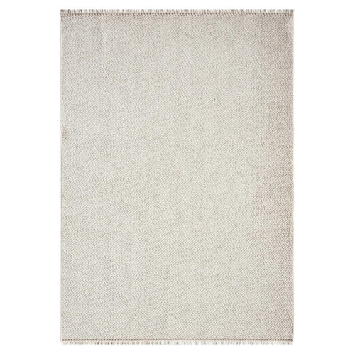 Textured Fringed Area Rug