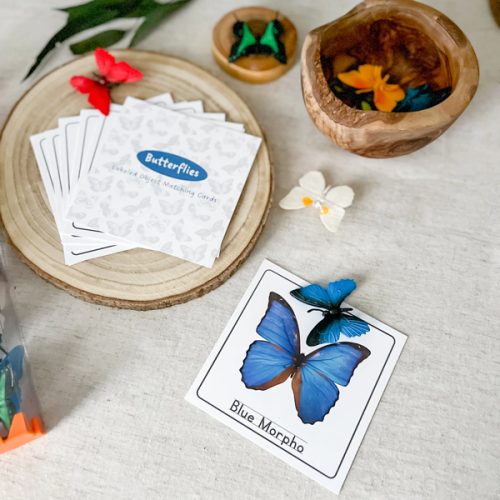 Butterfly Matching - Cards and Figures | Chickadees Wooden Toys