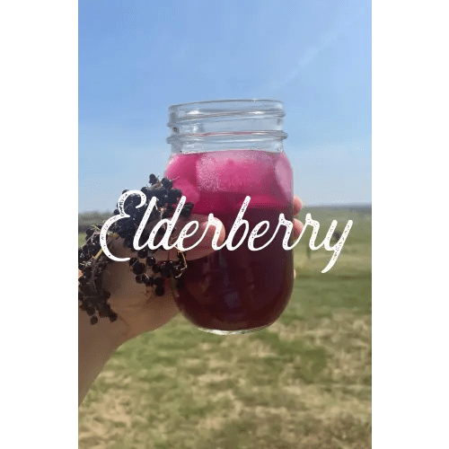 Elderberry Switchel Concentrate - Made Whole Food Co. — Made Whole Farm + Food Co.