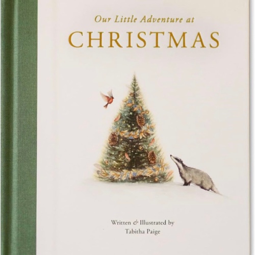 Our Little Adventure at Christmas: Featuring Foundational Language Concepts and Lessons on the Joy of Giving (Tabitha Paige Children's Book Series)