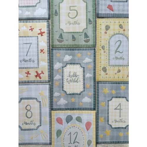 Baby Boy Milestone Cards – 12 Month Vintage Style Monthly Photo Prop Set – Classic Boy Nursery Decor