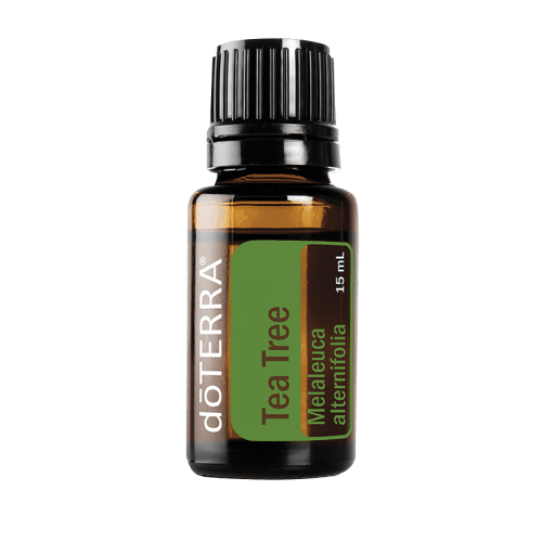 Tea Tree Essential Oil | doTERRA Essential Oils