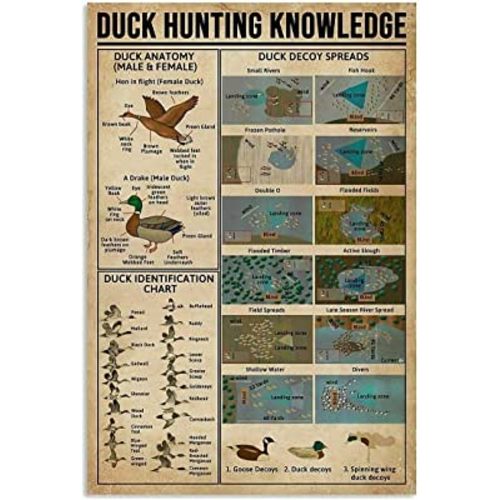 Duck Hunting Knowledge Metal Sign New Vintage Decor for Home Office Restaurant Garage Bar 8X12 Inch