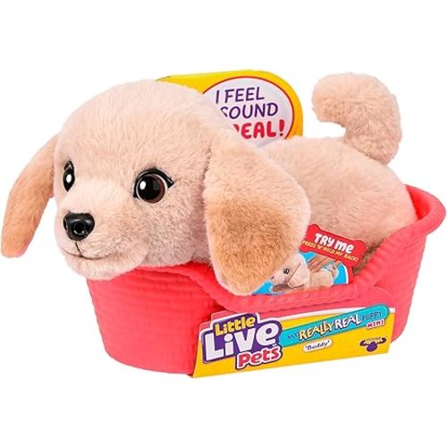 Little Live Pets My Really Real Puppy Mini Buddy the Retriever, Interactive Plush Toy with Basket, 20+ Sounds and Reactions, Puppy Toys for Kids