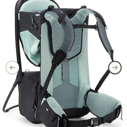 Thule Sapling Child Carrier | REI Co-op