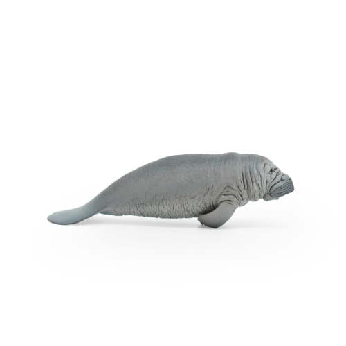 Manatee Toy Animal, Sea Cow, Dugong, Realistic Rubber Replica, Hand Painted Educational Model 5" CWG262 B241