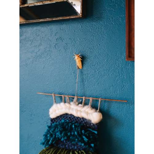 Cicada Wall Decor / Insect Decor / Macrame Accessory / Brass Embellishment / Etymology / Scientific Decor / Screw Covers