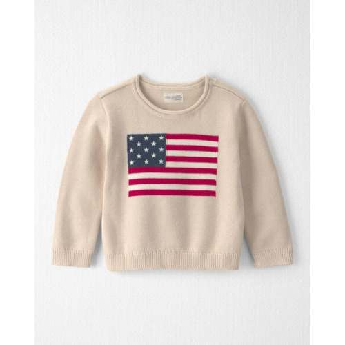 Toddler Organic Cotton American Flag Knit Sweater - Little Planet | Carter's