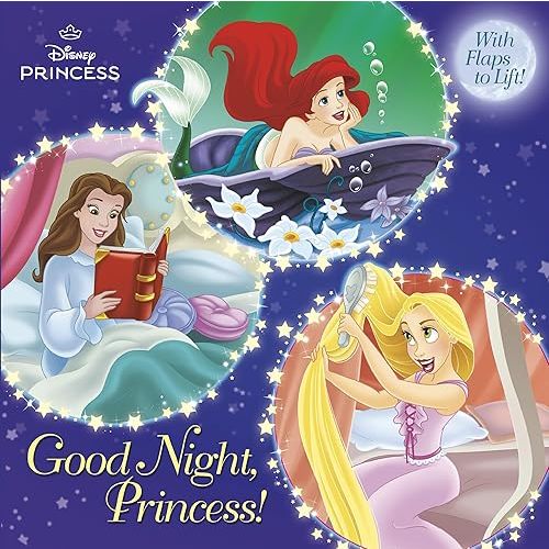 Good Night, Princess Book