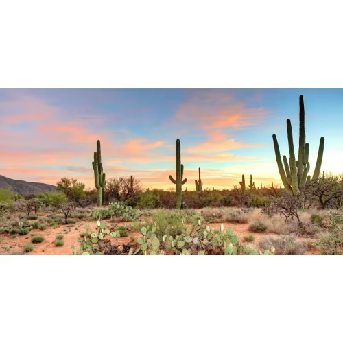 Arizona | GetOutPass