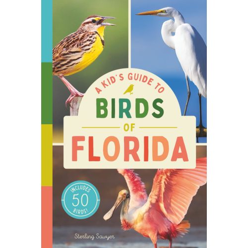 A Kid’s Guide to Birds of Florida