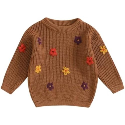 Infant Toddler Baby Girl Knit Sweater Long Sleeve Floral Embroidery Pullover Sweatshirt Warm Fall Winter Clothes