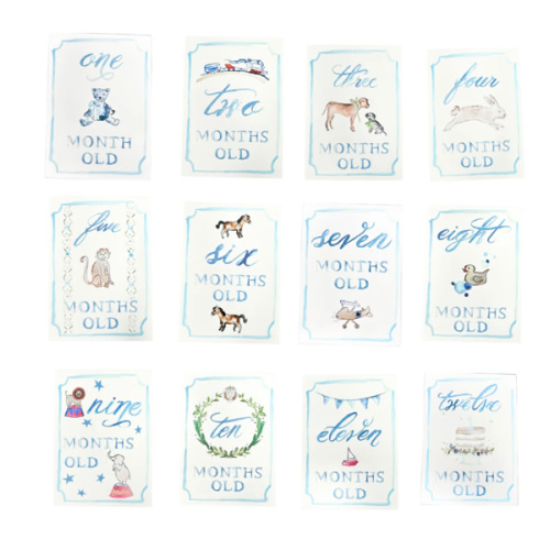 Monthly Milestone Card Set - Blue | Danrie