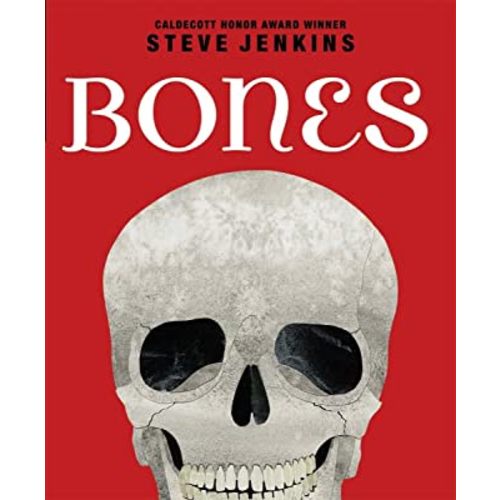 Bones: Skeletons and How They Work