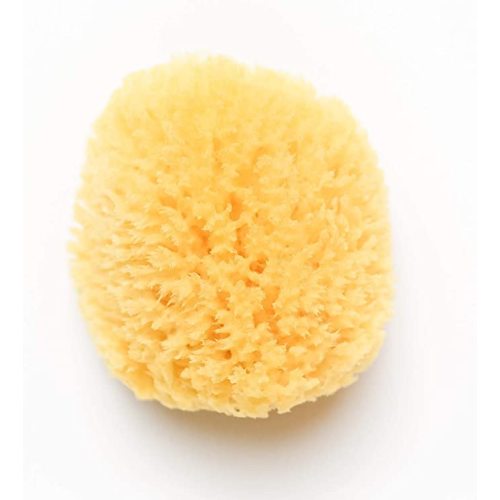 Kyte Baby Natural Sea Sponge, 4 to 5 Inches