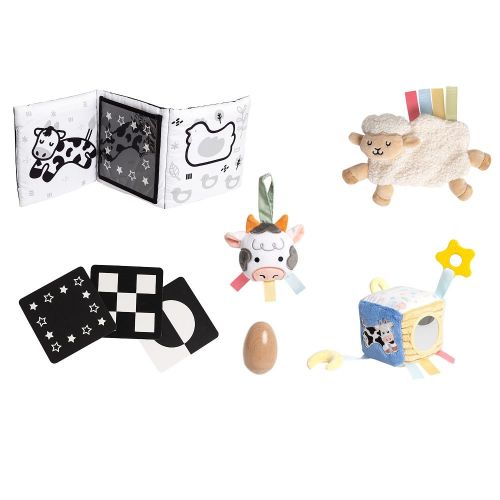 Pearhead Learning Kit for Babies Newborn-6 Months