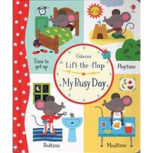 Usborne Lift-The Flap My Busy Day by Holly Bathie: Good | World of Books (was SecondSale)