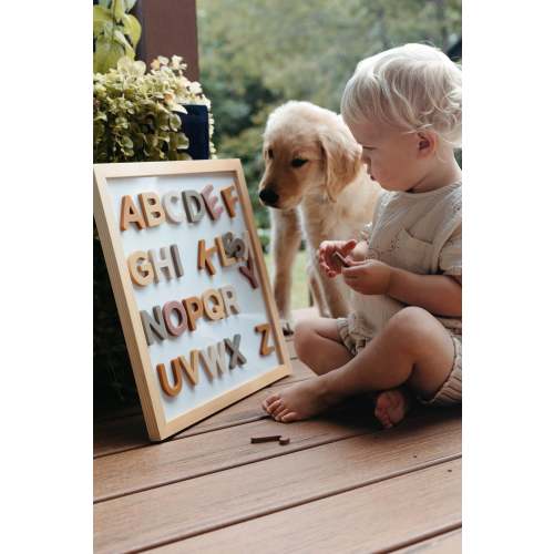 Alphabet Magnet Play Set