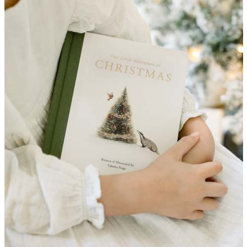 Our Little Adventure at Christmas - Tabitha Paige