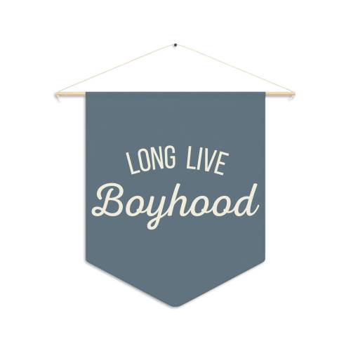Boys Pennant, Long Live Boyhood Pennant, Boys Bedroom Decor,Boyhood Pennant Flag,Long Live Boyhood,Boys Bedroom Pennant,Kids Bedroom Pennant