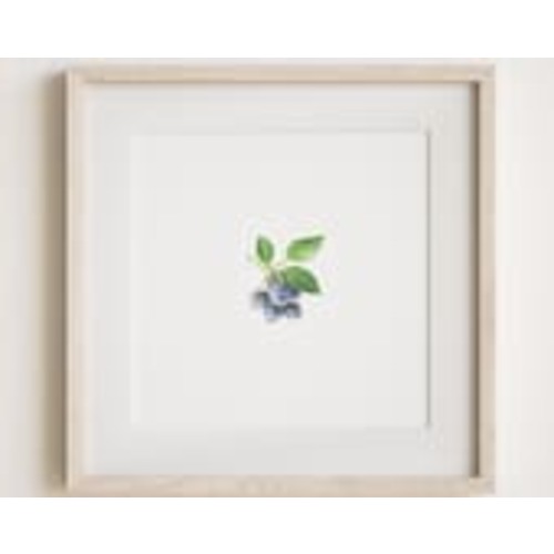 Blueberry watercolor painting