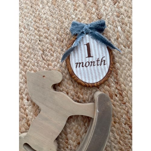 First Year Milestone Hoops | Embroidered Baby Milestone Hoops | Month Sign with Bow | Baby Milestone | Monthly Photo Props with Bow