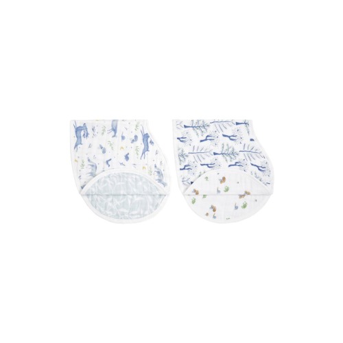 2-Pack Organic Cotton Burpy Bibs