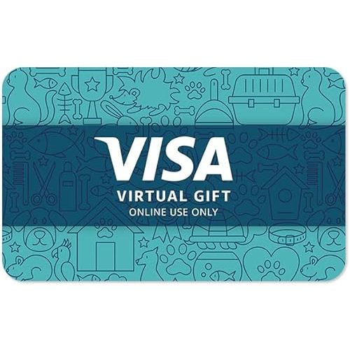 Visa Virtual eGift Card - $25 (plus $3.95 Purchase Fee)
