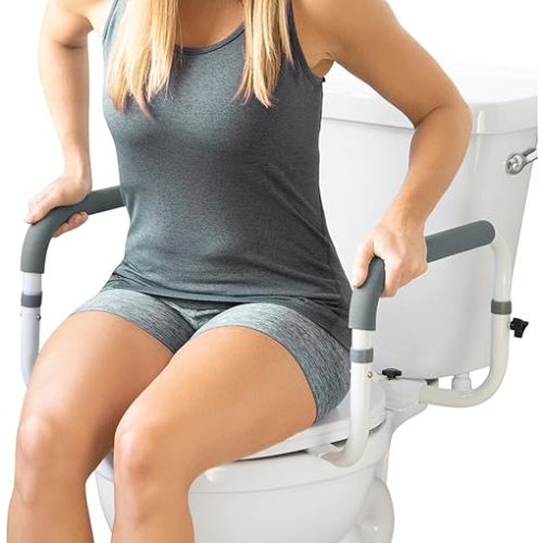 Vive Toilet Safety Rail