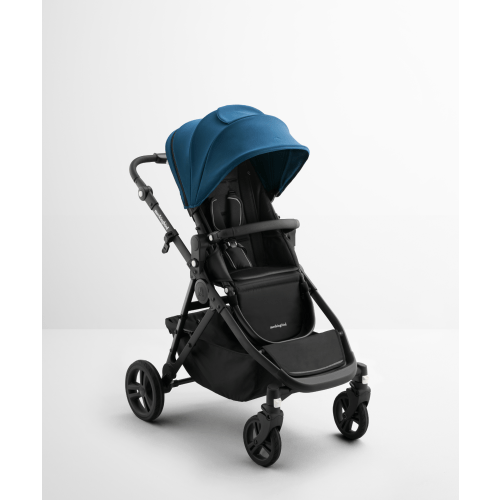 Single-to-Double Stroller 3.0