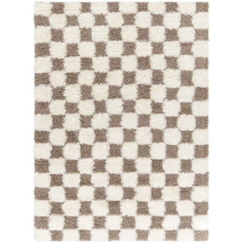 Haefner Checkered Machine Woven Polypropylene Area Rug in Brown | Wayfair