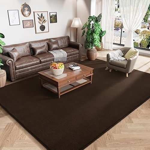 Amearea Modern Area Rugs for Bedroom Living Room, 4x6 Brown Memory Foam Rug