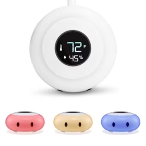 KELVIN - LittleHippo