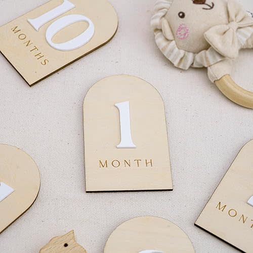 Baby Monthly Milestone Photo Sign, Wooden Floral Design with Pink Bows, Baby Girl Growth Tracker, 1-12 Months (Arch)