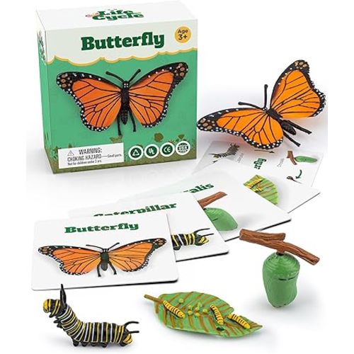 Life Cycle Kit Montessori - Realistic Figurine Toys, Animal Matching Game with Butterfly and Catterpilar, Easter Basket Stuffers for Kids, Science Fun for Learning Education Toys