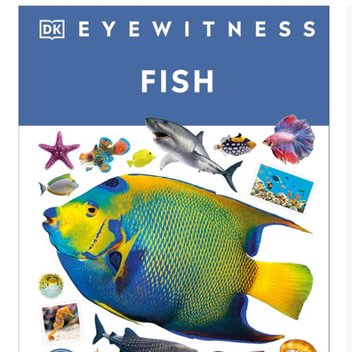Eyewitness Fish Book