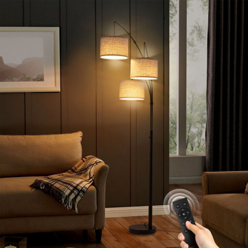 Ebern Designs 80" 3-light Dimmable 3-color Temperature, Arc Floor Lamps With Remote Control, Modern Tall Standing Lamp & Reviews | Wayfair