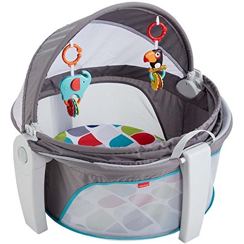 Fisher-Price On-The-Go Baby Dome, Color Climbers [Amazon Exclusive]