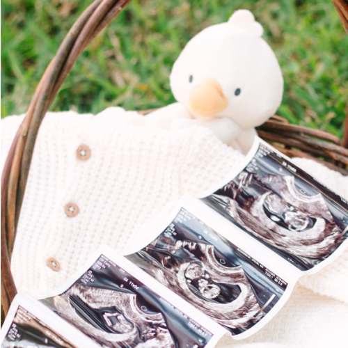 Babylist Shop Gift Card