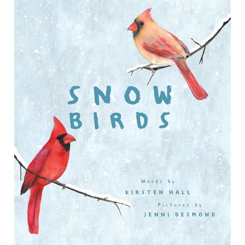 Snow Birds: A Picture Book