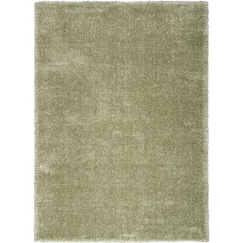 Nourison Plush Shag Indoor Rug