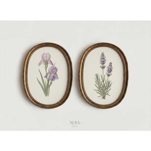 Vintage Purple Botanical Wall Art Set of 2, Lavender & Iris Flower Prints, Antique Floral Illustration, Botanical Decor (Digital Download)