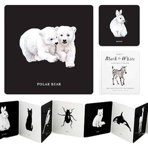 Baby's Black and White Contrast Book: High-Contrast Art for Visual Stimulation at Tummy Time (Tabitha Paige Children's Book Series) Board book – Picture Book, August 1, 2023