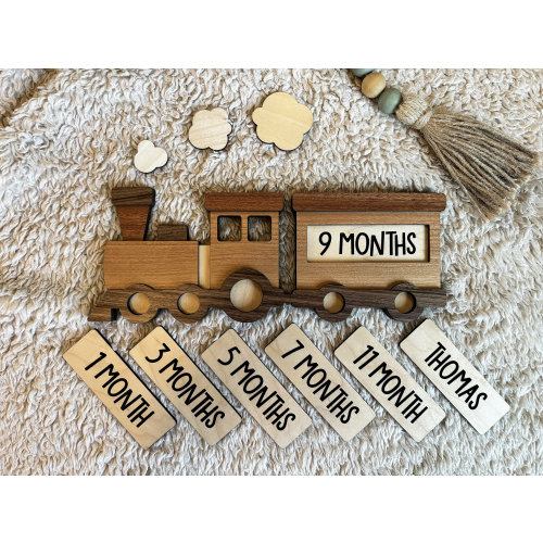 Train Baby Monthly Milestone Set | Baby Milestones | Train Room Decor | Baby Monthly Milestone Train Photo Prop | Baby Name Sign