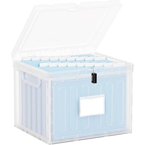Oterri Plastic File Box with Lid for Letter Size File Folders, Hanging File Folder Box, File Organizer for File Cabinet, Home, Office,School(Clear, Large-1 Pack Without Folders)