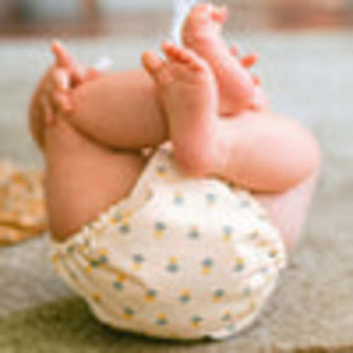 Organic Cloth Diaper Bundle Starter – Esembly